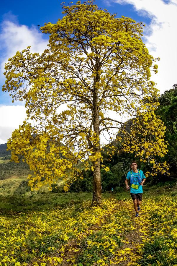 Buy your photos of the eventEvolution on Fotop