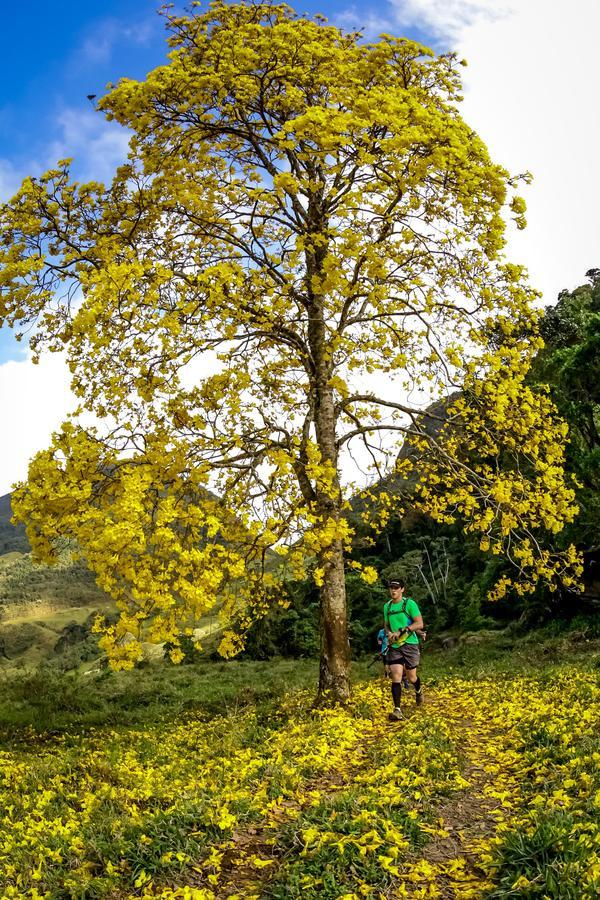 Buy your photos of the eventEvolution on Fotop