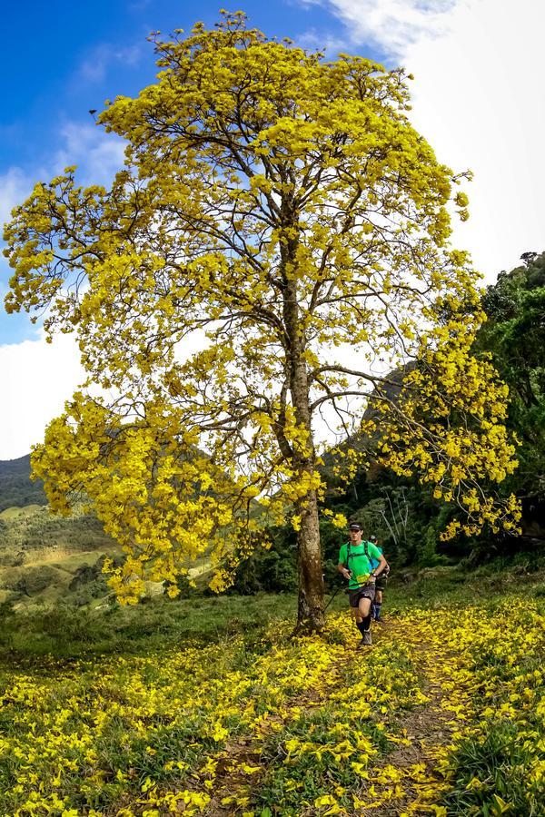 Buy your photos of the eventEvolution on Fotop