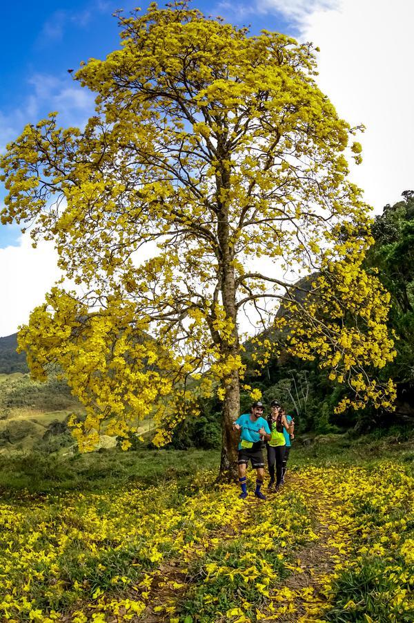 Buy your photos of the eventEvolution on Fotop