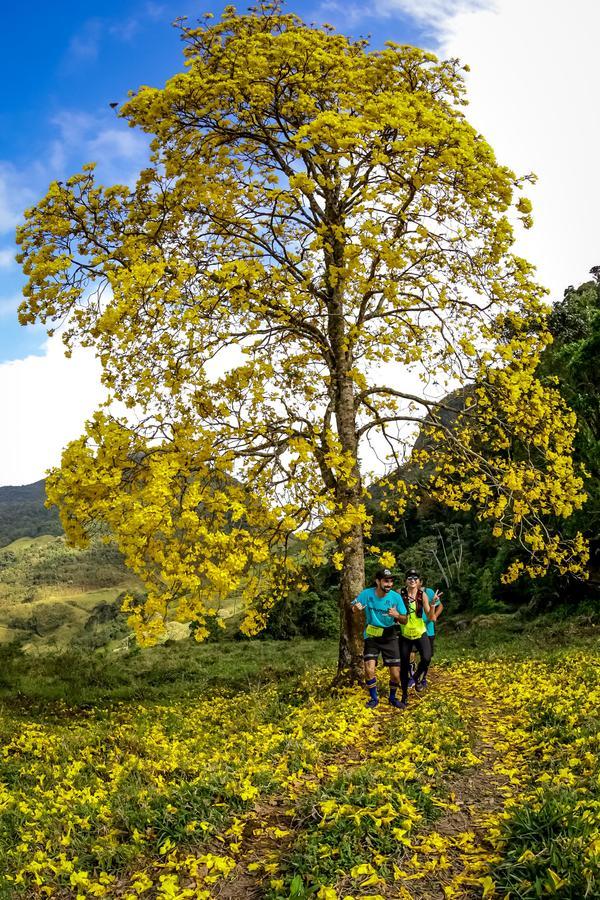 Buy your photos of the eventEvolution on Fotop