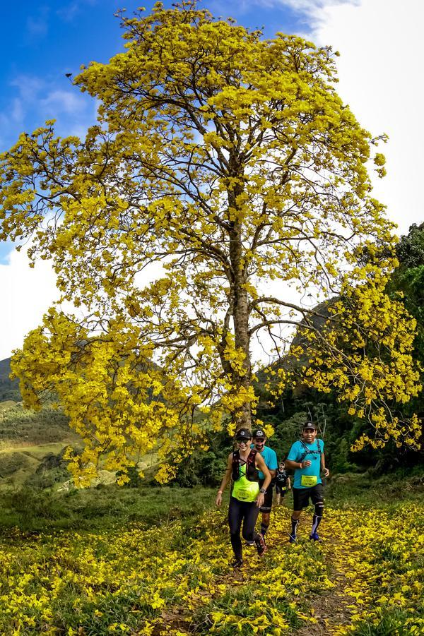 Buy your photos of the eventEvolution on Fotop