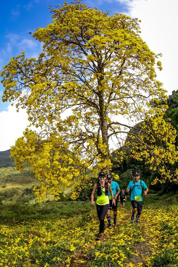 Buy your photos of the eventEvolution on Fotop