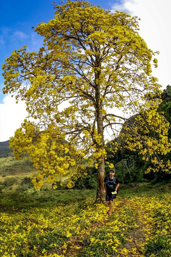 Buy your photos of the eventEvolution on Fotop