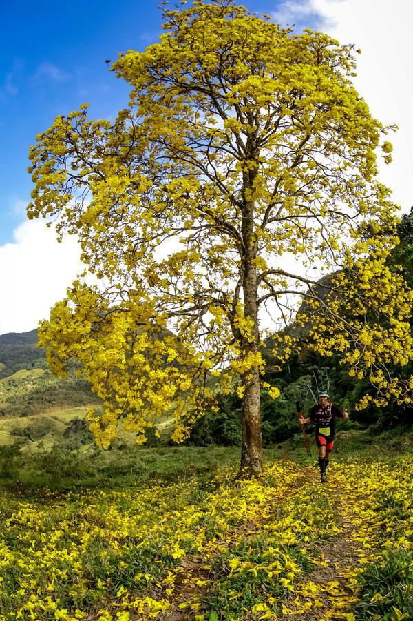 Buy your photos of the eventEvolution on Fotop