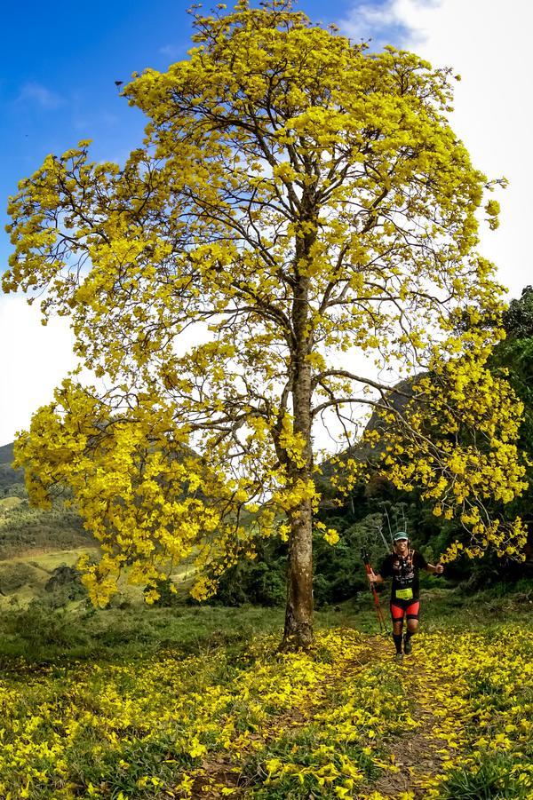 Buy your photos of the eventEvolution on Fotop