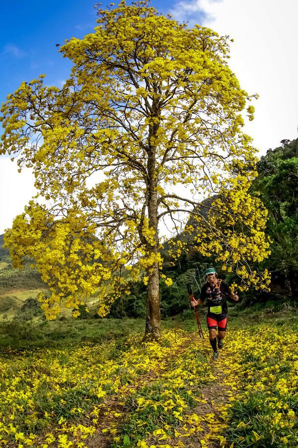 Buy your photos of the eventEvolution on Fotop