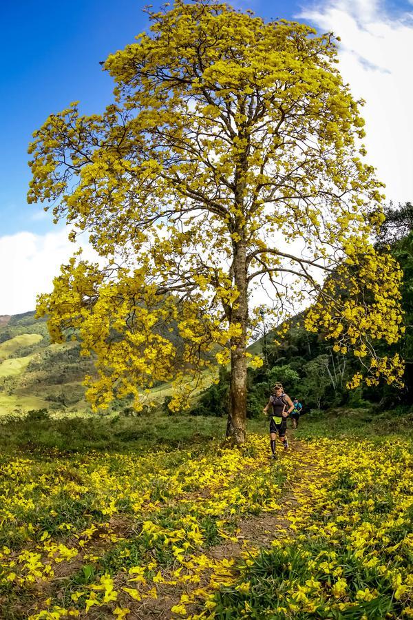 Buy your photos of the eventEvolution on Fotop