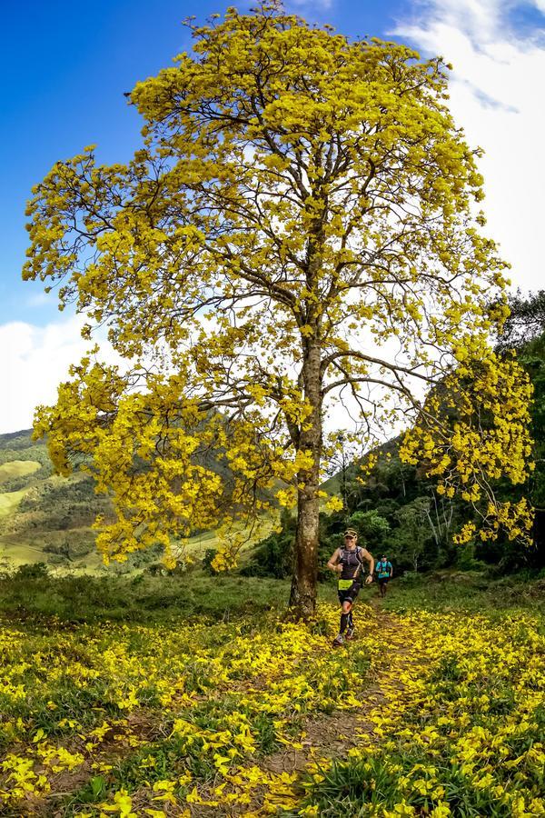 Buy your photos of the eventEvolution on Fotop