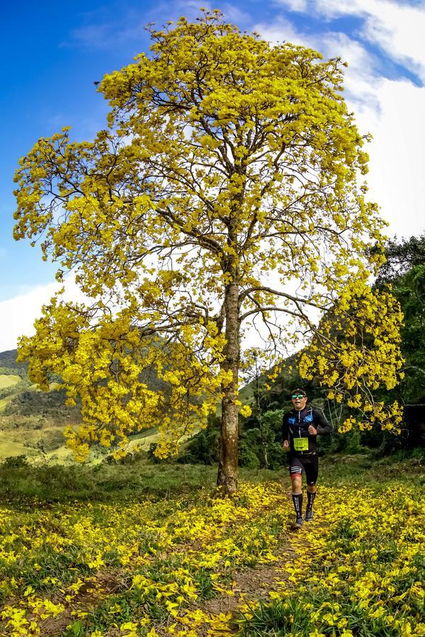 Buy your photos of the eventEvolution on Fotop