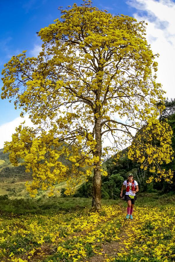 Buy your photos of the eventEvolution on Fotop