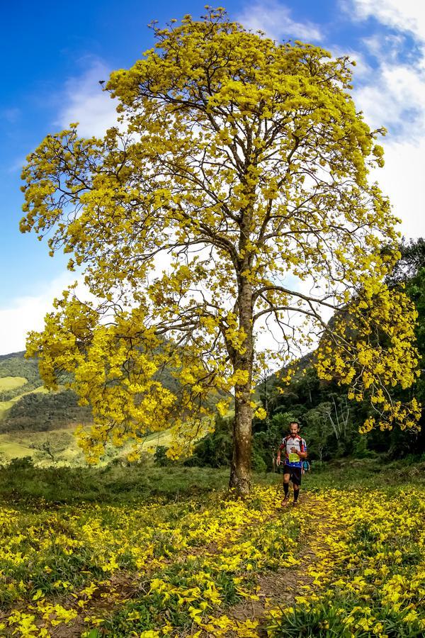 Buy your photos of the eventEvolution on Fotop