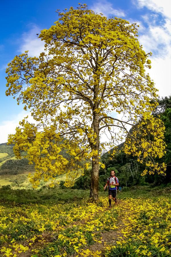 Buy your photos of the eventEvolution on Fotop