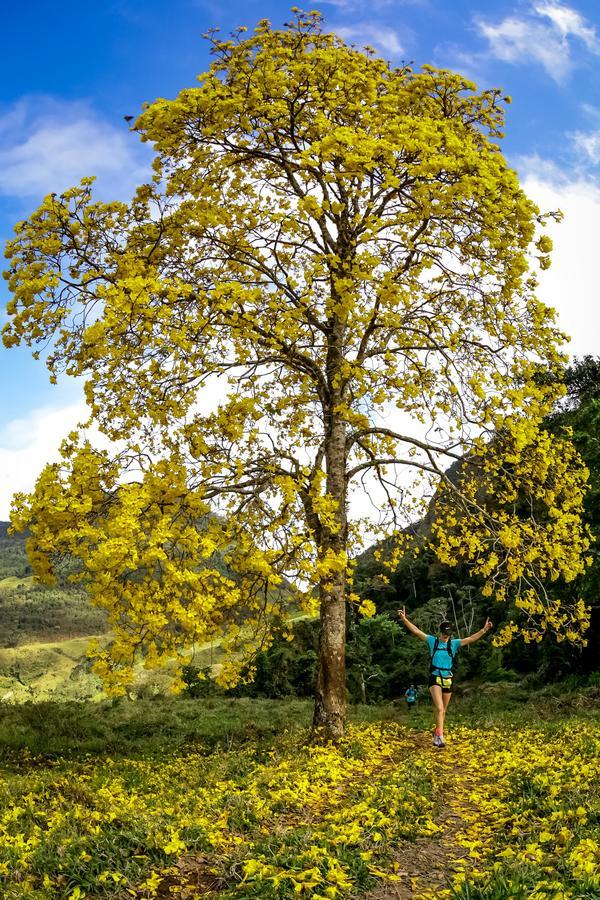 Buy your photos of the eventEvolution on Fotop