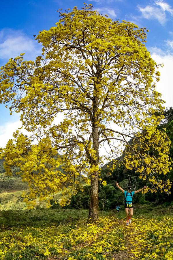 Buy your photos of the eventEvolution on Fotop