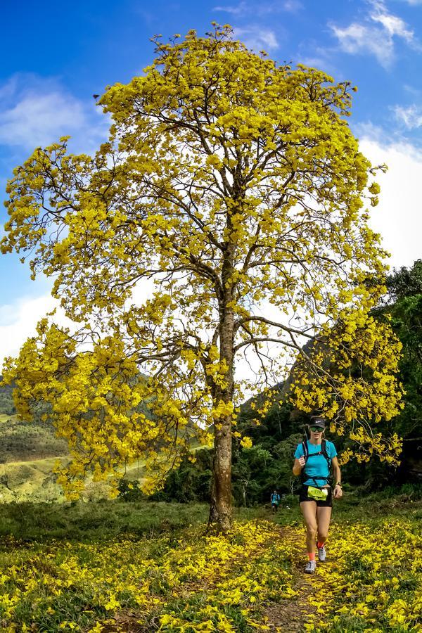 Buy your photos of the eventEvolution on Fotop