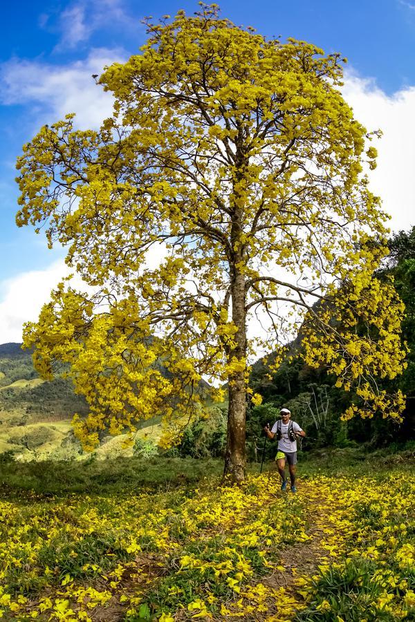 Buy your photos of the eventEvolution on Fotop