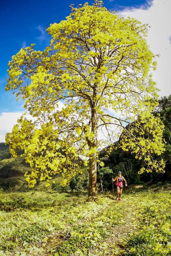 Buy your photos of the eventEvolution on Fotop