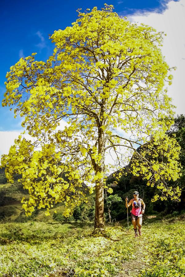 Buy your photos of the eventEvolution on Fotop