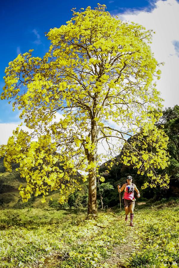 Buy your photos of the eventEvolution on Fotop