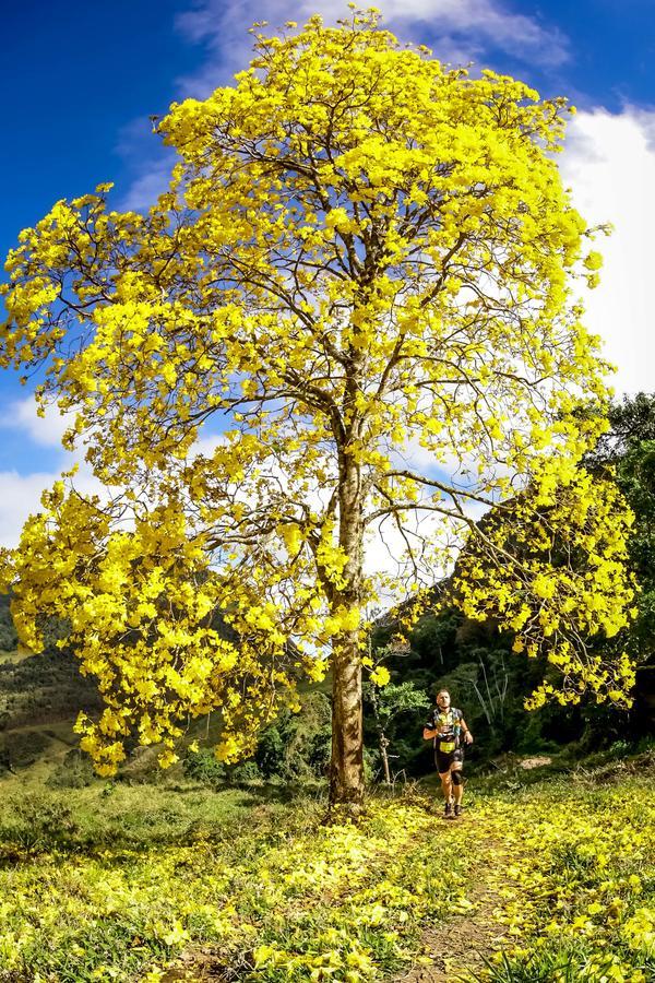 Buy your photos of the eventEvolution on Fotop