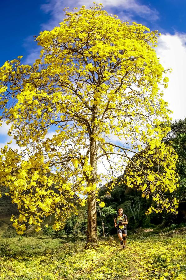 Buy your photos of the eventEvolution on Fotop