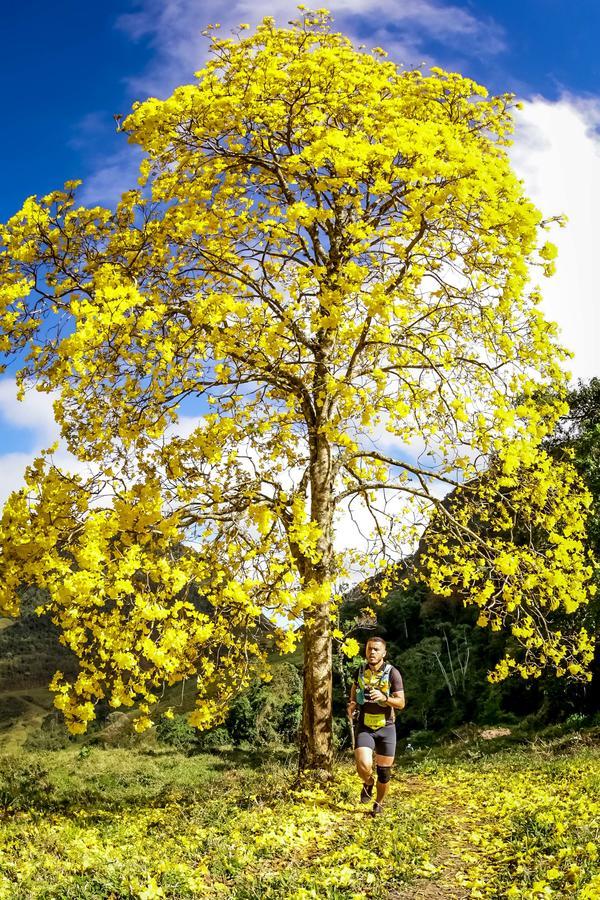 Buy your photos of the eventEvolution on Fotop