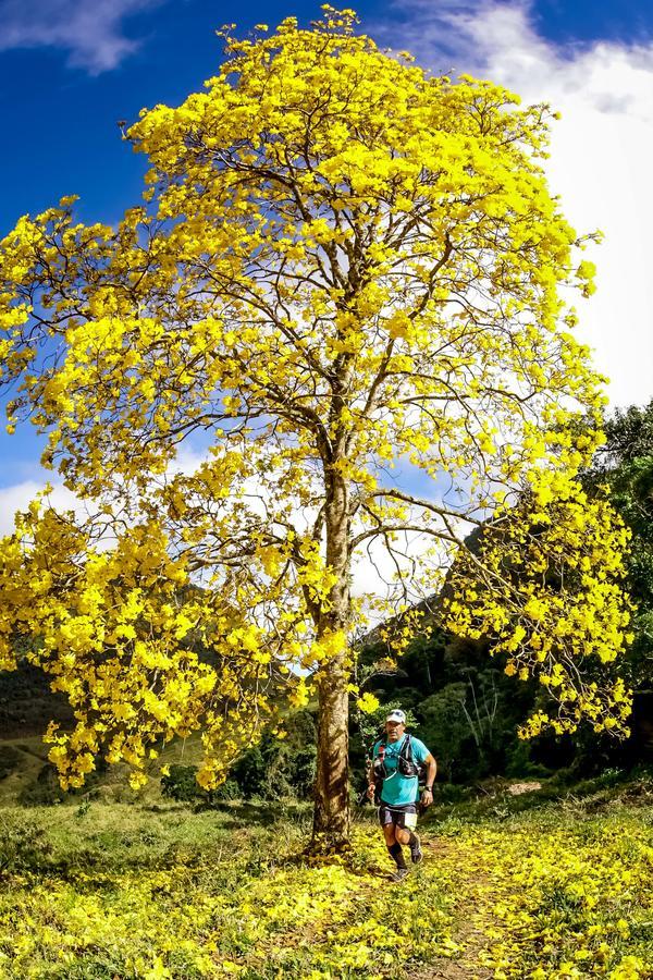 Buy your photos of the eventEvolution on Fotop