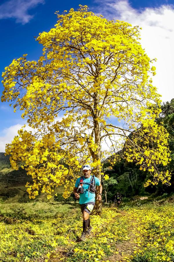 Buy your photos of the eventEvolution on Fotop