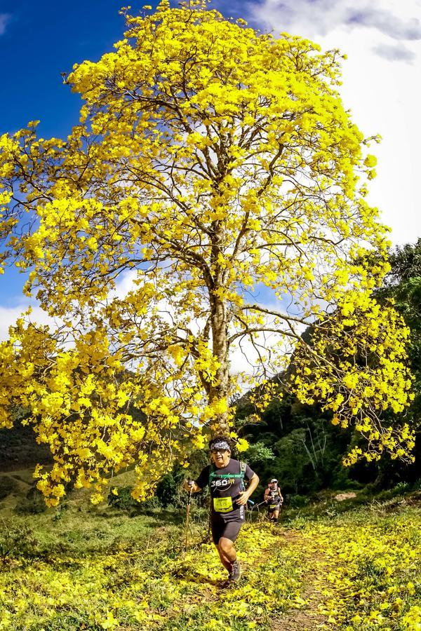 Buy your photos of the eventEvolution on Fotop