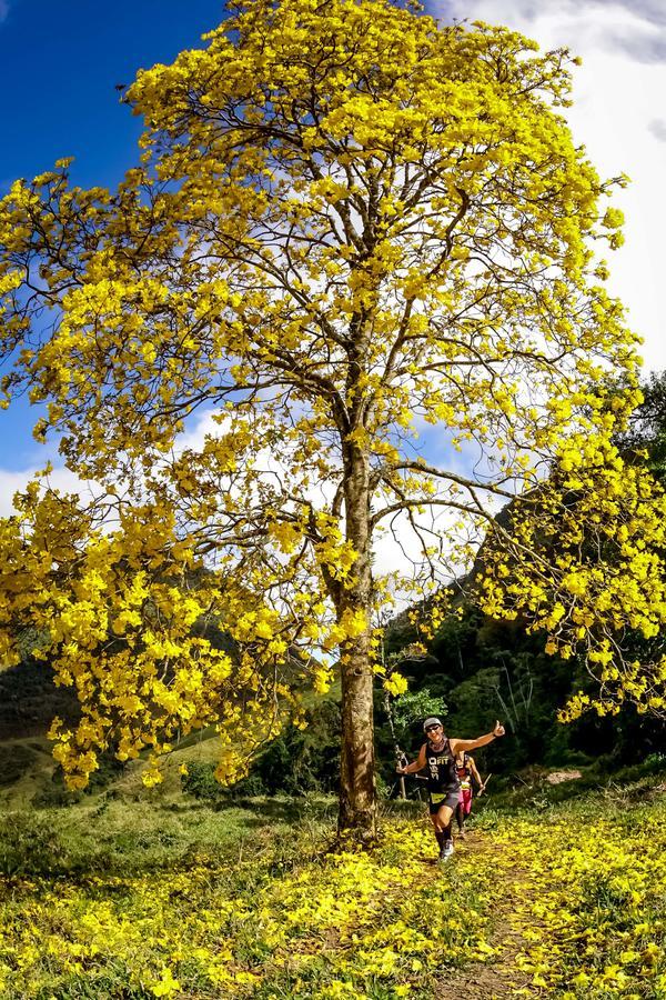 Buy your photos of the eventEvolution on Fotop