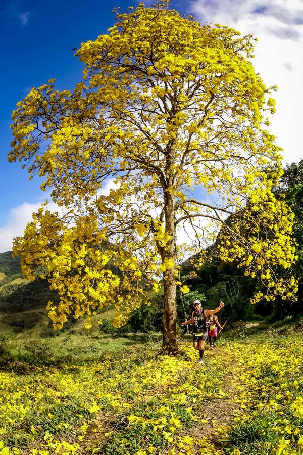 Buy your photos of the eventEvolution on Fotop