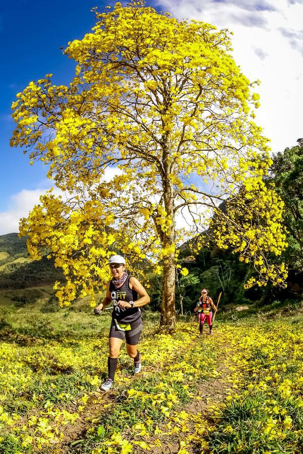 Buy your photos of the eventEvolution on Fotop