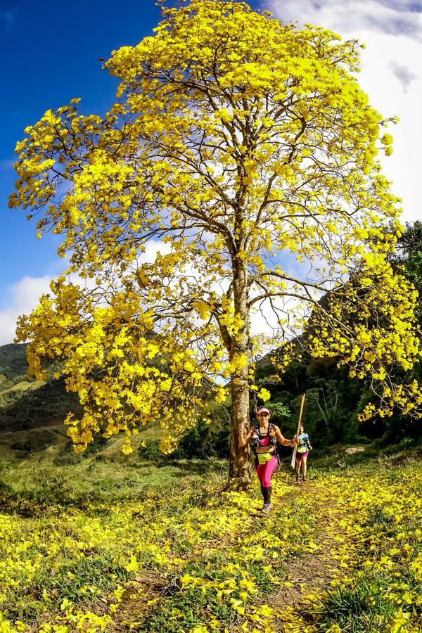 Buy your photos of the eventEvolution on Fotop