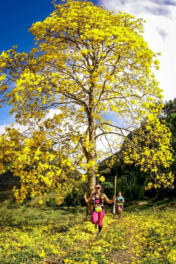 Buy your photos of the eventEvolution on Fotop