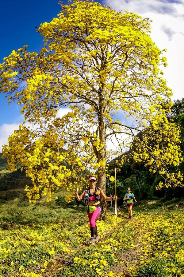 Buy your photos of the eventEvolution on Fotop