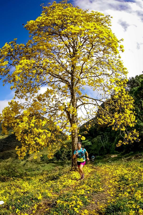 Buy your photos of the eventEvolution on Fotop