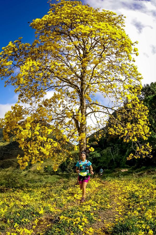 Buy your photos of the eventEvolution on Fotop