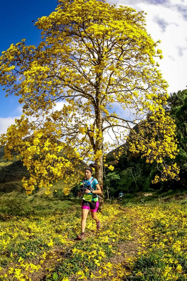 Buy your photos of the eventEvolution on Fotop