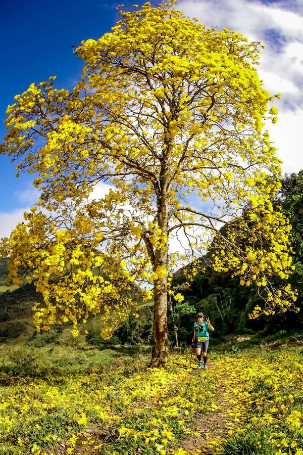 Buy your photos of the eventEvolution on Fotop