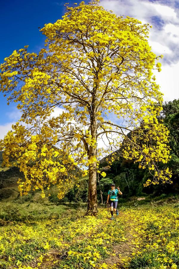 Buy your photos of the eventEvolution on Fotop