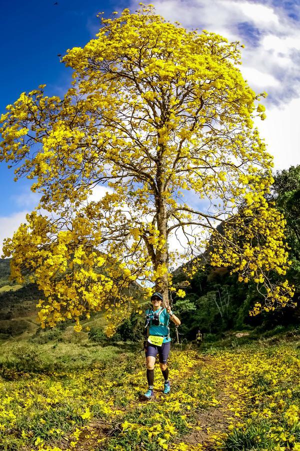 Buy your photos of the eventEvolution on Fotop