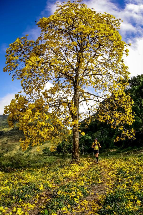 Buy your photos of the eventEvolution on Fotop