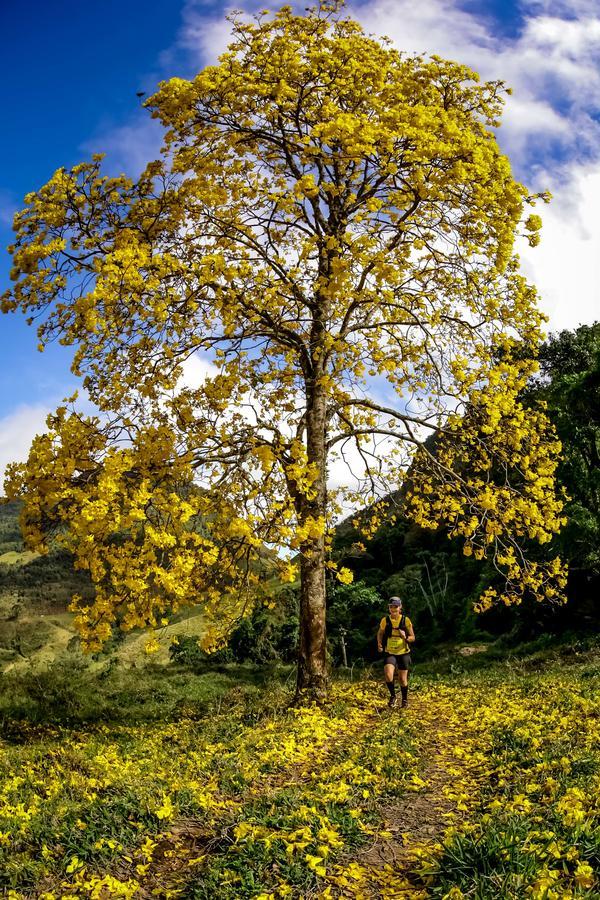 Buy your photos of the eventEvolution on Fotop