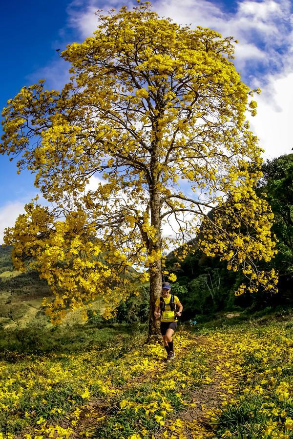 Buy your photos of the eventEvolution on Fotop