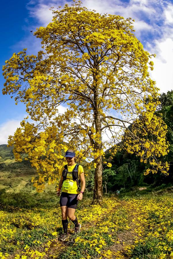 Buy your photos of the eventEvolution on Fotop