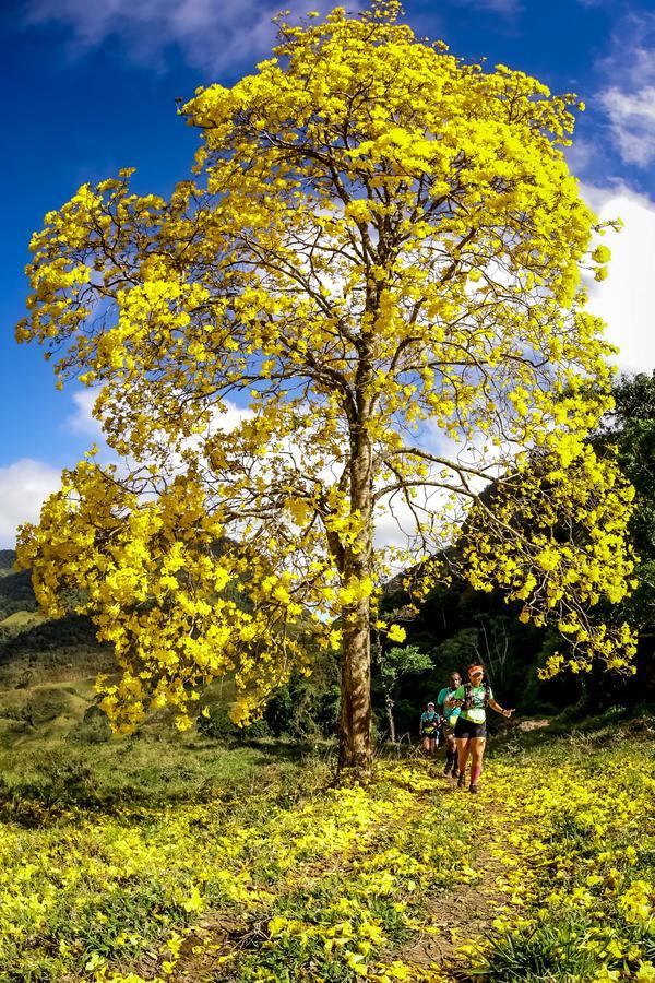 Buy your photos of the eventEvolution on Fotop