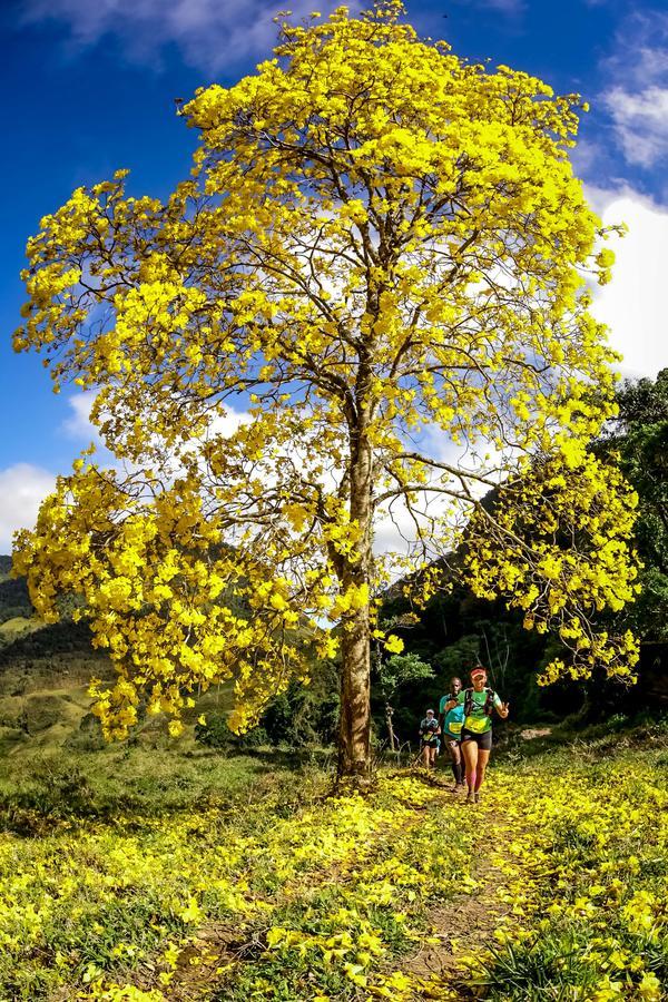 Buy your photos of the eventEvolution on Fotop