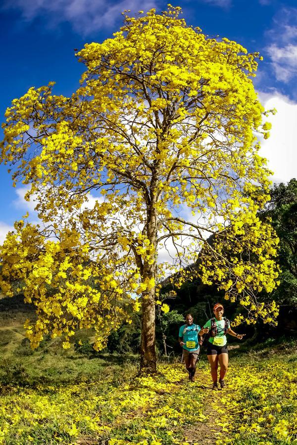 Buy your photos of the eventEvolution on Fotop