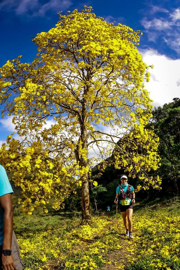 Buy your photos of the eventEvolution on Fotop